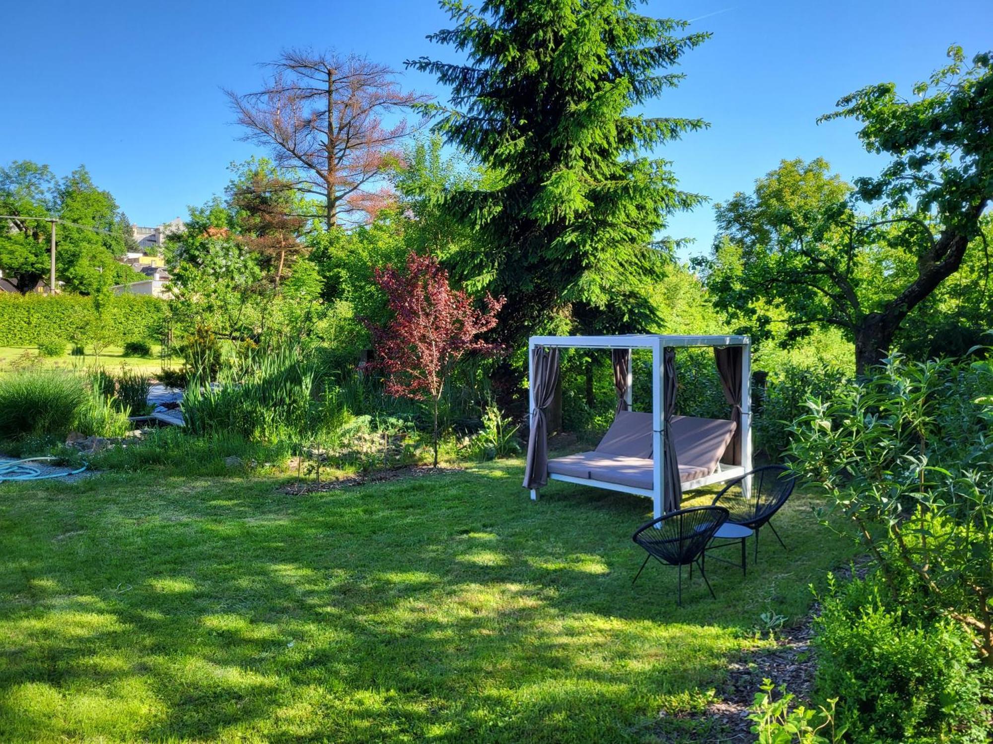Apartman V Podzamci Rychnov nad Kneznou Esterno foto